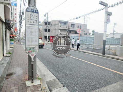 大通り