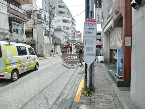 大通り