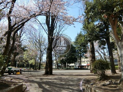 裏路地
