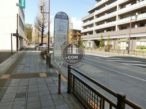 大通り
