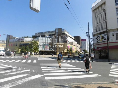大通り