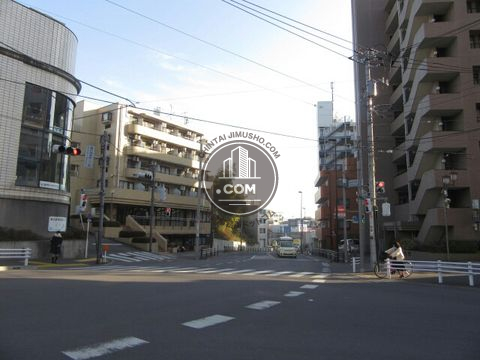 大通り