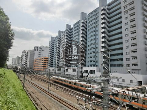 大通り