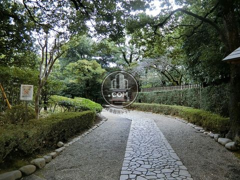 大通り
