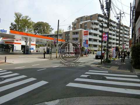 大通り