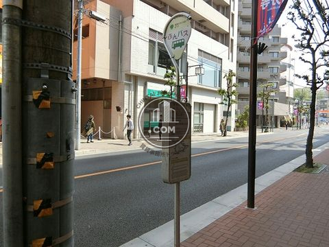 大通り