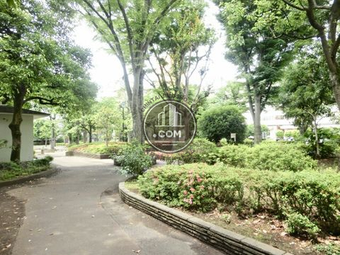 大通り
