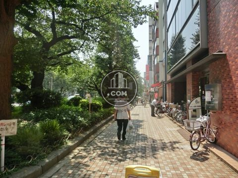 大通り