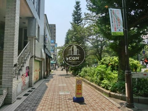 大通り