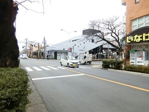 矢川通り