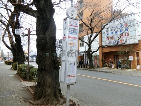 バス停 (矢川駅)