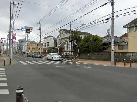 大通り