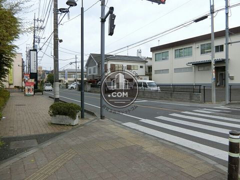 大通り