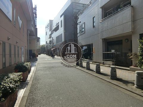 大通り