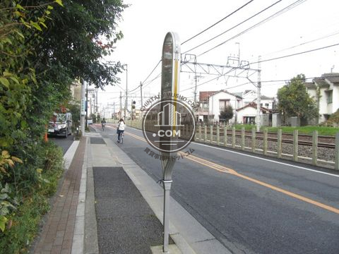 大通り