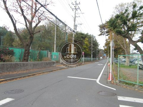 裏路地