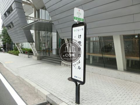 大通り