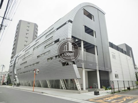 大通り