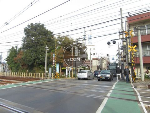 大通り