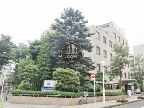 大通り