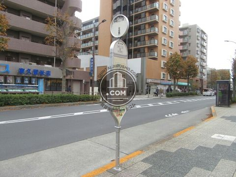 大通り