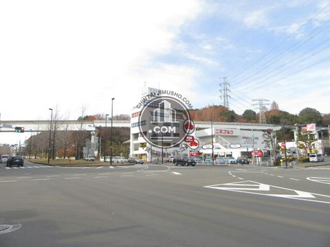 大通り