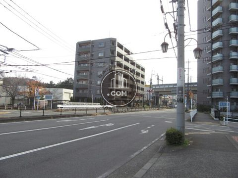 大通り