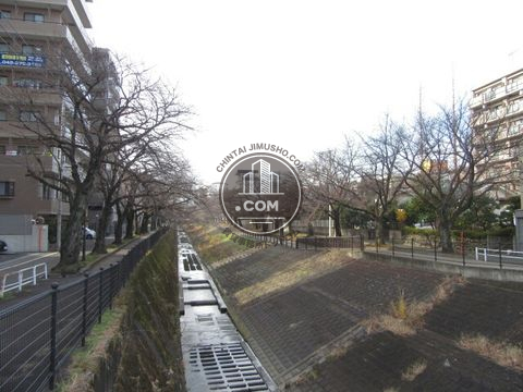 裏路地