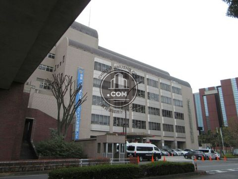 大通り