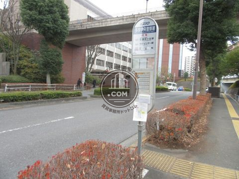 大通り