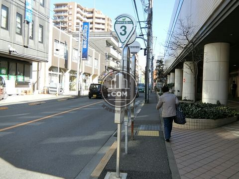 大通り