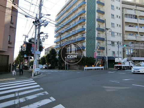 大通り