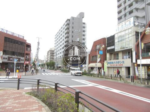 大通り
