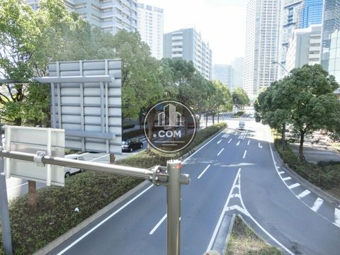 大通り