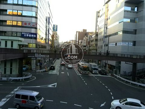 大通り