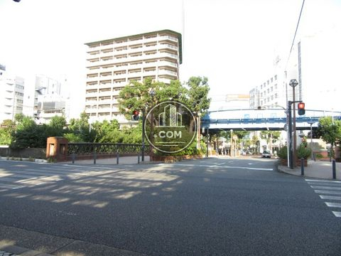 大通り