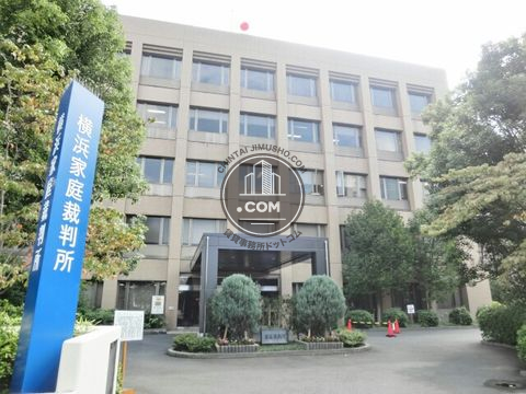大通り