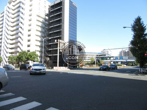 大通り