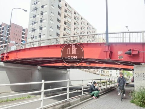 大通り