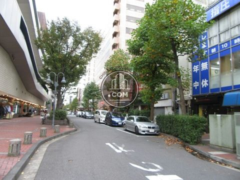 大通り