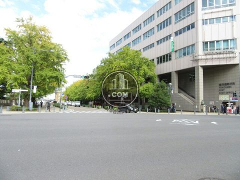 大通り