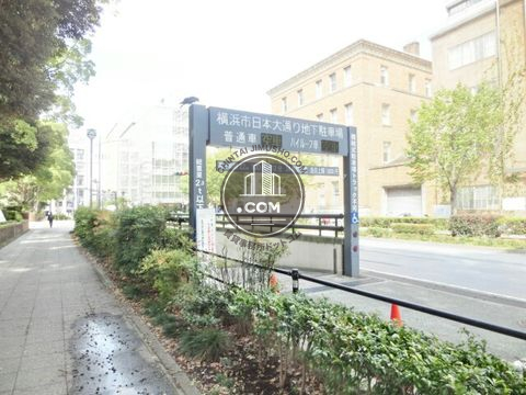 大通り