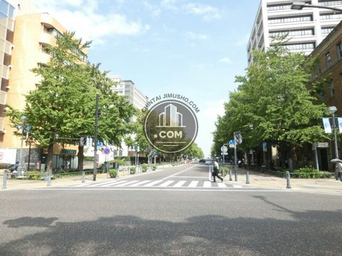大通り