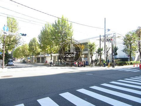 大通り