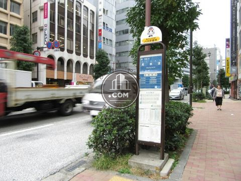 大通り