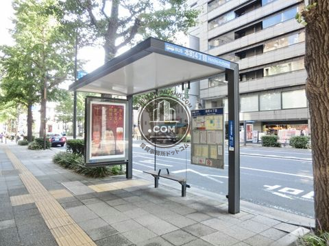 大通り