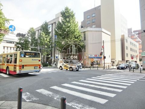 大通り