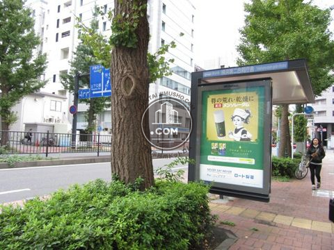 大通り