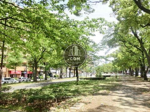 大通り