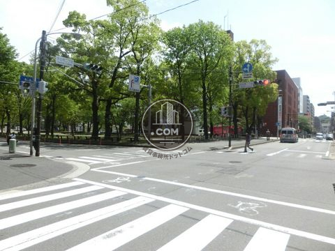 大通り
